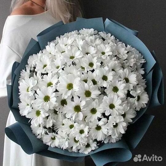 Хризантема. Букеты Цветы доставка