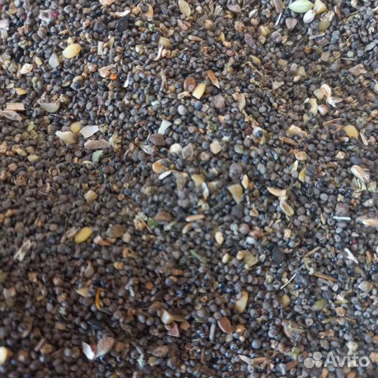 Корм для голубей