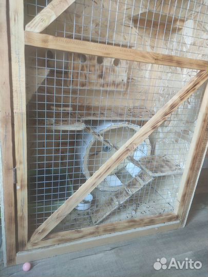 Шиншилла, клетка для шиншиллы