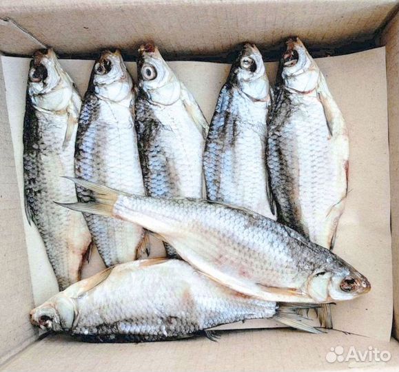 Астраханская вобла вяленая