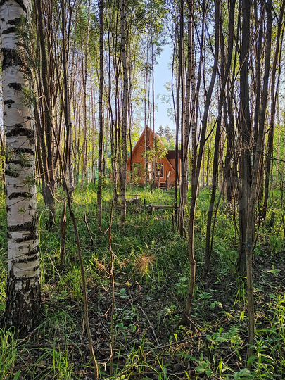 Дом 35,5 м² на участке 20 сот.