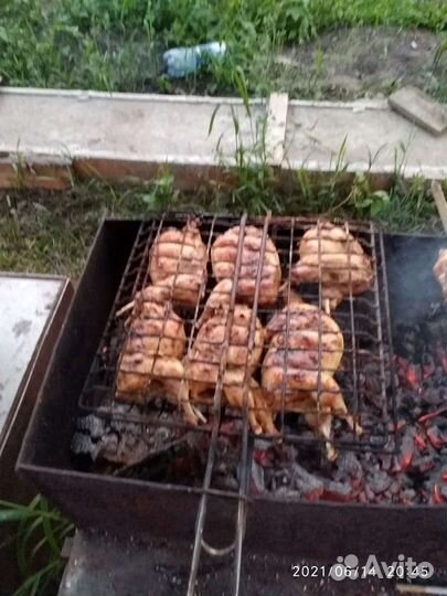 Мясо перепелов