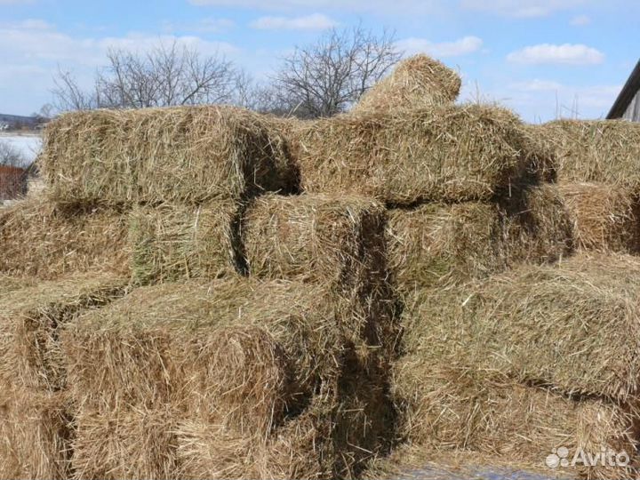 Сено с доставкой