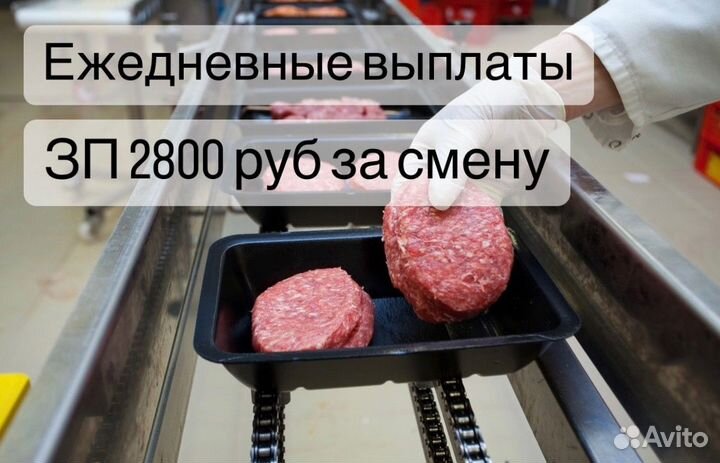 Грузчик разнорабочий с ежедневной оплатой