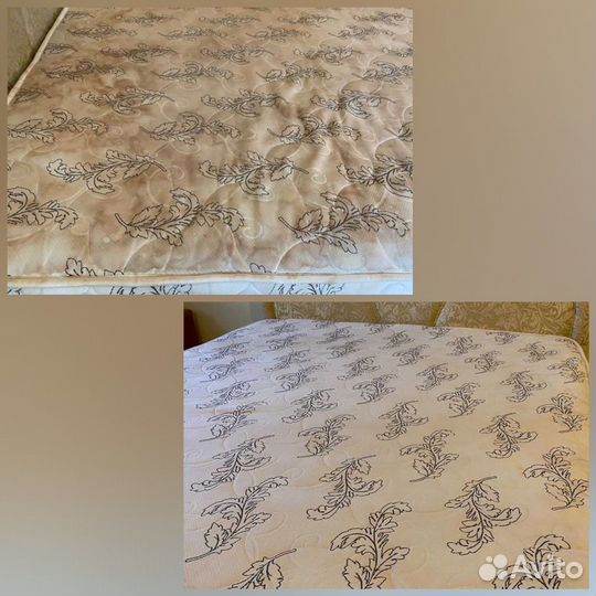 Аренда моющего пылесоса