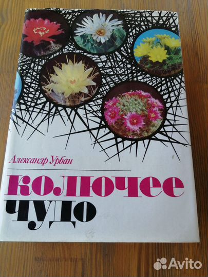 Книга Колючее чудо