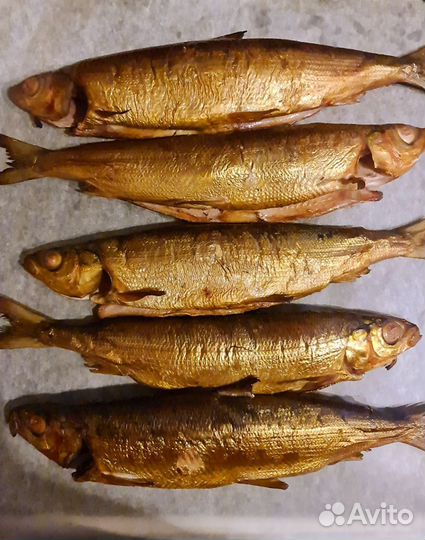 Байкальская рыба