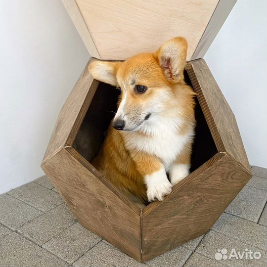 Домик (столик) для питомца