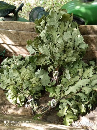 Продам веники для бани, берёзовые