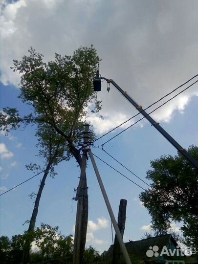 Спиливание деревьев