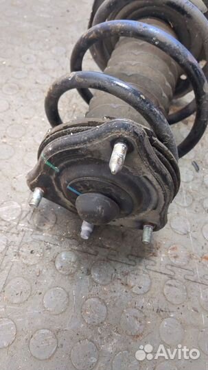 Амортизатор подвески правый передний Honda Civic