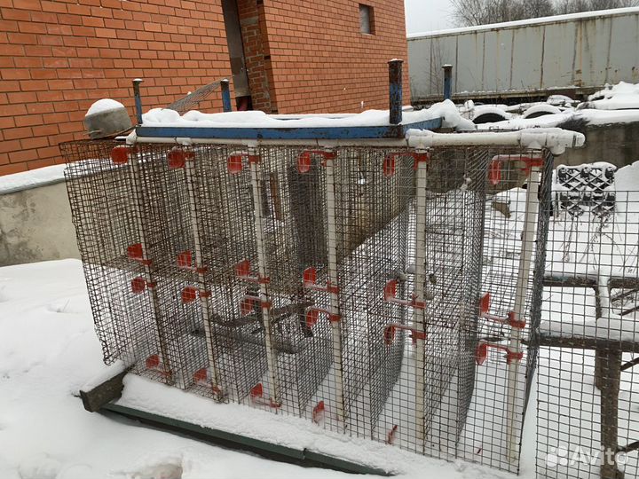 Клетка для перепелов