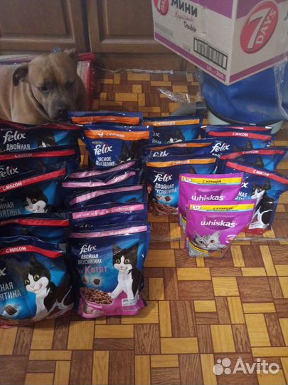 Корм для кошек