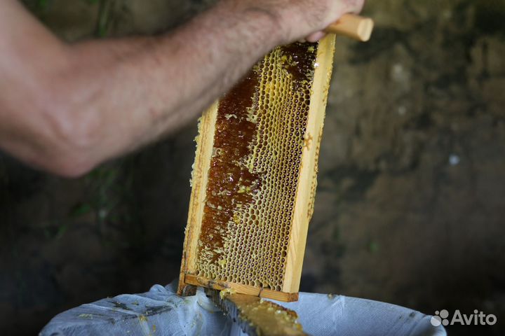 Мёд с Тамбова 2023 года