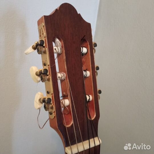 Классическая гитара cremona