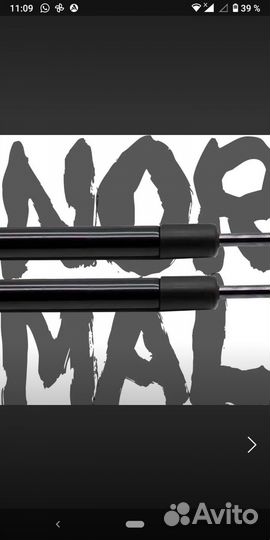 Газовые упоры капота