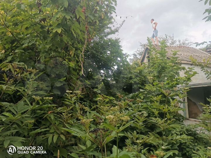 Участок 40 сот. (ИЖС)