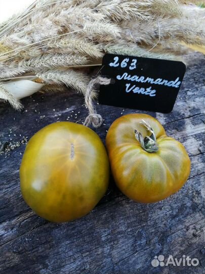 Семена редких коллекционых помидор