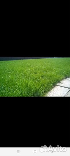 Услуги по посеву газона