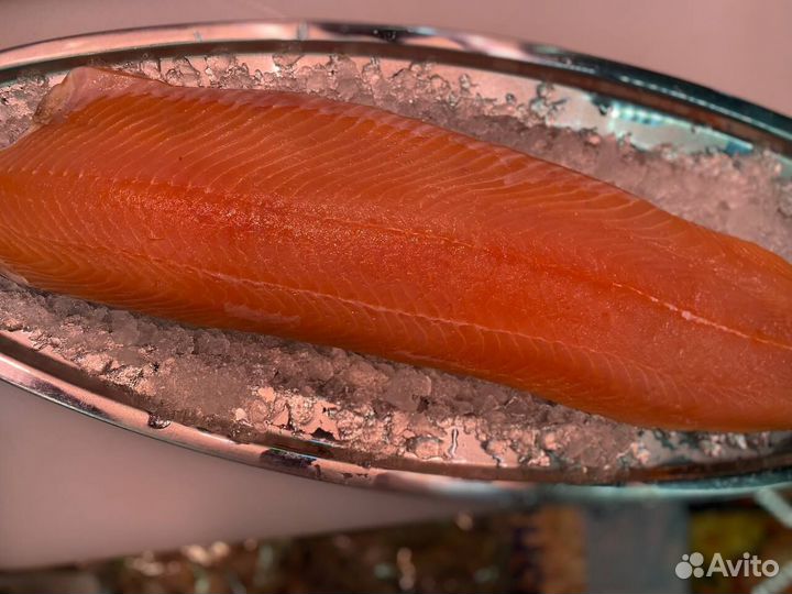 Лосось филе слабосолённый 2023г. Опт