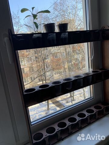 Стеллаж на окно для стаканчикрв под рассаду купить в Санкт-Петербурге ...