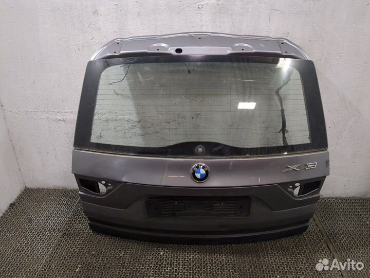 Подсветка номера BMW X3 E83, 2004