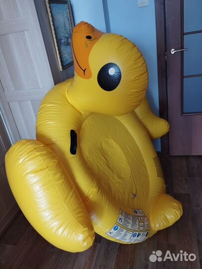 Круг с сетчатым дном и Надувной плот утенок
