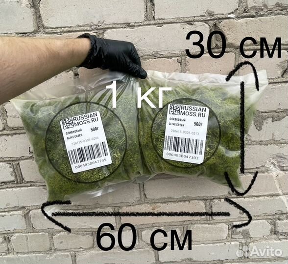 Стабилизированный мох, Лесной Зеленый