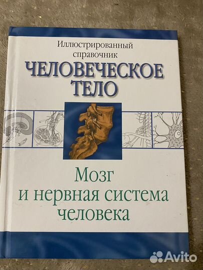 Учебник человеческое тело