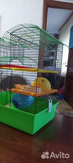 Клетка для грызунов очень большая