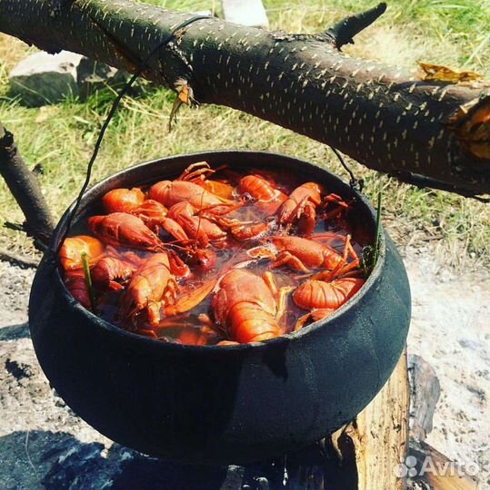 Раки живые и варёные