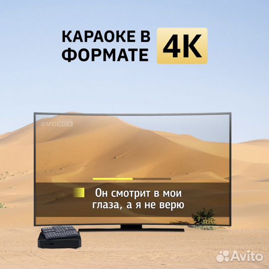 Караоке Evobox + микрофоны