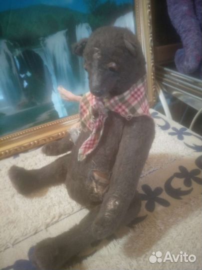 Мишки Тедди коллекционные