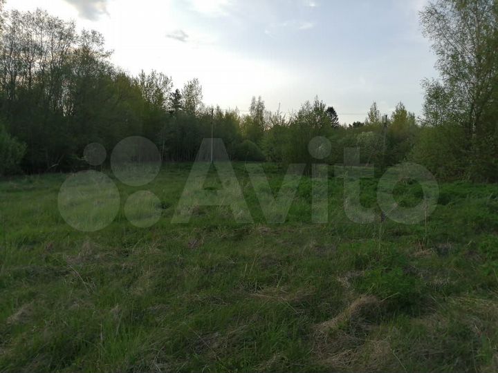Участок 1,5 га (ИЖС)