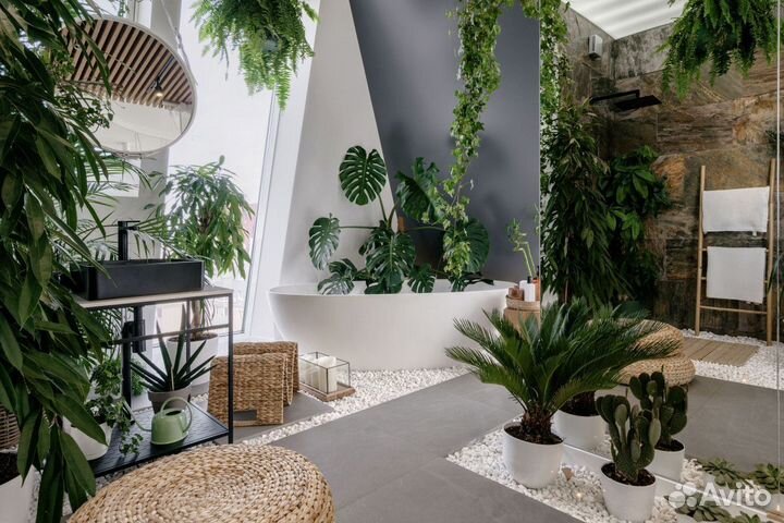 Озонирование коммерческих и жилых помещений