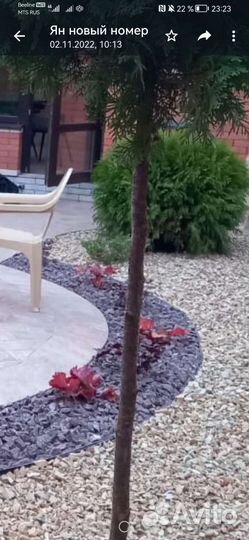 Ландшафтный дизайн и озеленение. кмв