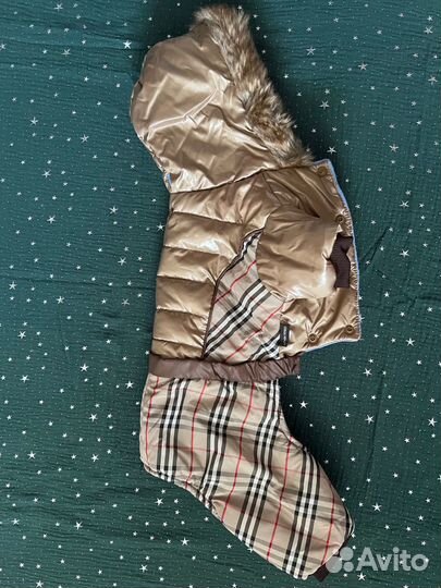 Комбинезоны для собак