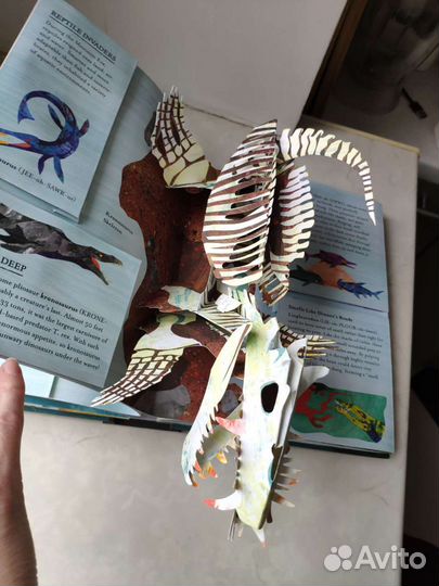 English английские книги Sharks&other sea monsters