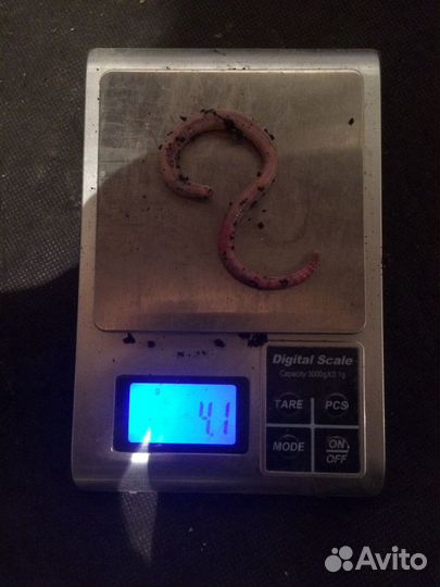 Биогумус вермикомпост