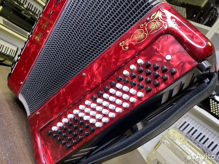 Баян Тула бн 41