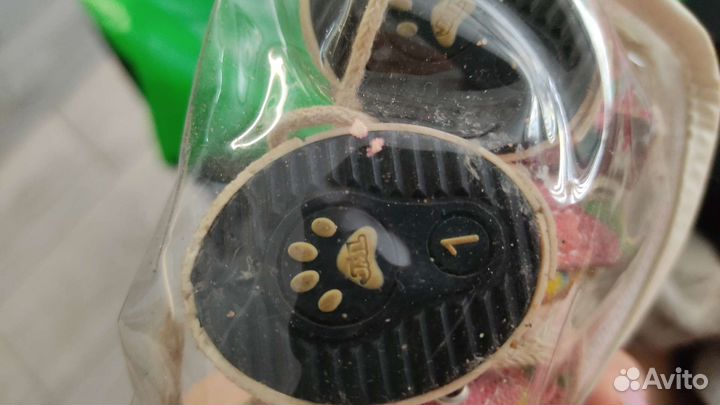 Вещи для чихуахуа или собаки мелкой породы