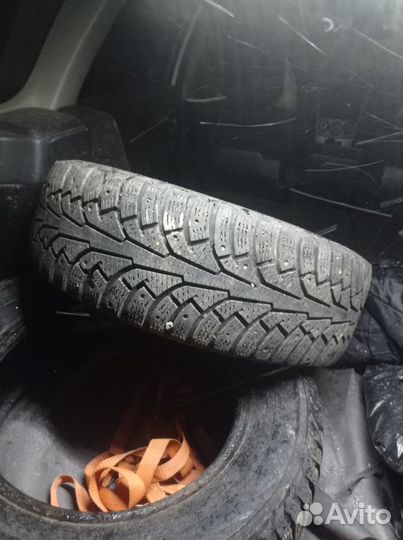 Nokian Tyres Hakkapeliitta 5 205/65 R15 99