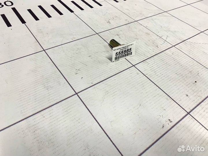 Болт диска стяжной 34А2718111 (34А2718111)