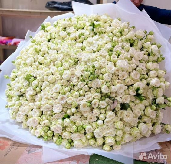 Кустовые пионовидные розы