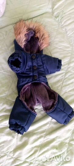 Одежда для маленьких собак