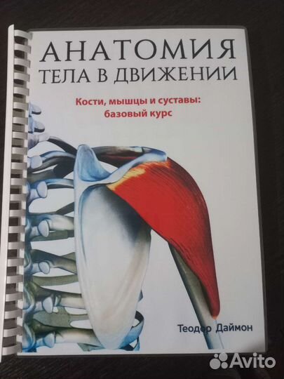Анатомия тела в движении книга