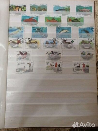 Марки коллекционные, царской России и Советского С