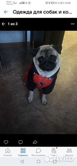 Одежда для собак от S до 7XL все сезоны