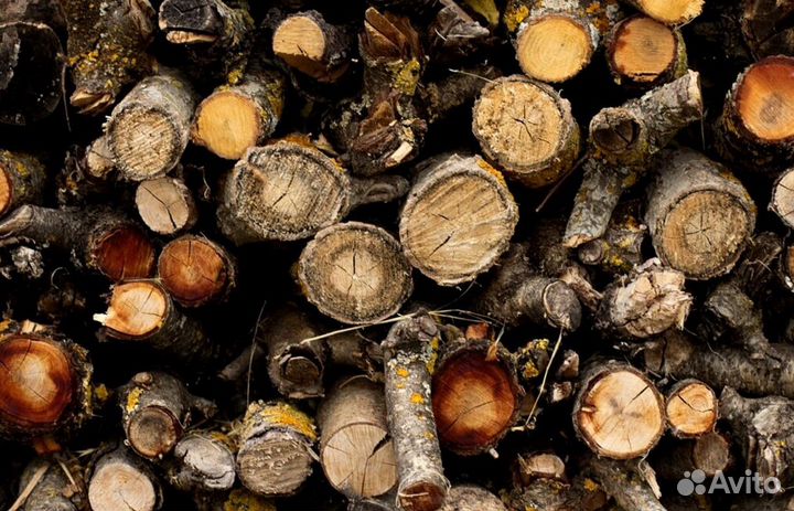 Дрова в Солнечное