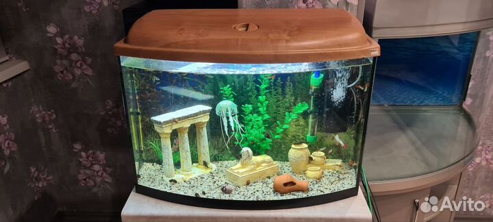 Аквариум с тумбой и оборудованием